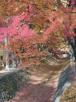 &#x{11:F8E2};なんでもいｰから&#x{11:F8E2};