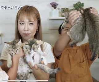 このYouTuber猫動画は酷い？