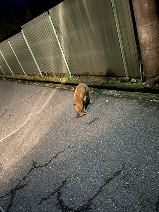 ミ☆馴れ合いのなんでも語れるトピ☆ミ