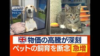 【欧州】ペットの“飼育放棄”急増　深刻な物価高騰で生活厳しく