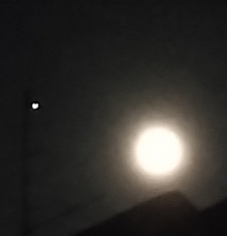 &#x{11:F8E2};なんでもいｰから&#x{11:F8E2};