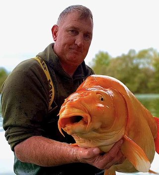 30キロの巨大金魚が、フランスのシャンパーニュ地方の湖で釣り上げられる