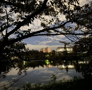 &#x{11:F8E2};なんでもいｰから&#x{11:F8E2};