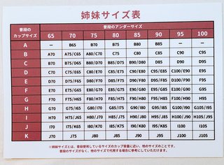 胸のカップ数、例えばCで大きい、小さいとかって