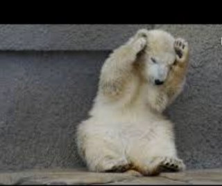 解りやすいウソをつけ