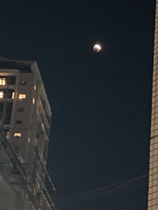 めっちゃきれいやん！