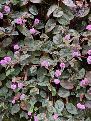 ミ☆馴れ合いのなんでも語れるトピ☆ミ