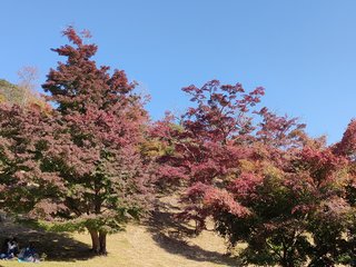 &#x{11:F8E2};なんでもいｰから&#x{11:F8E2};