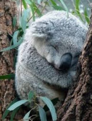 どうでもいい報告してください