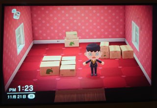 どうぶつの森 Switch 