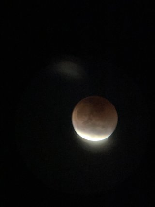 めっちゃきれいやん！