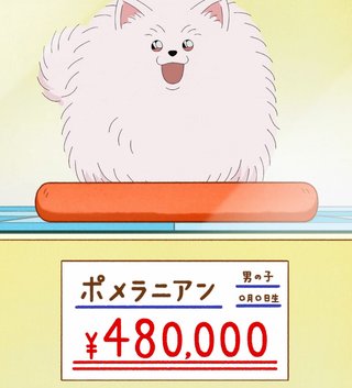 名探偵コナン【犯人の犯沢さん】