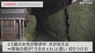 【愛知】散歩中の犬に吠えられ「うるせぇわ」、男が突然 女性を切りつける　大治町
