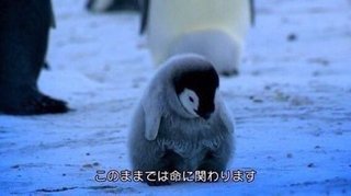 拾い画貼って