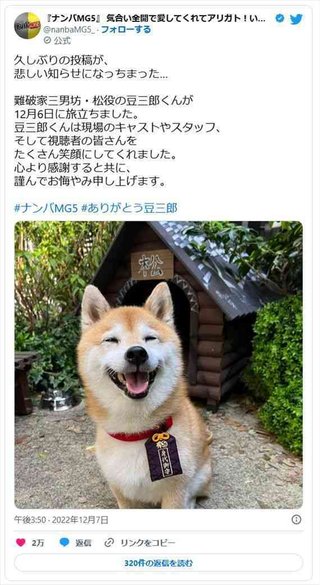 「ナンバMG5」犬の豆三郎、永眠　哀しみの声相次ぐ