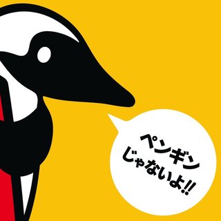 マクドナルドの福袋の応募出来た？