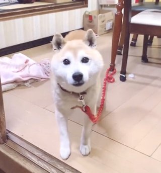 この冬、吹き抜けが寒いご家庭に朗報！