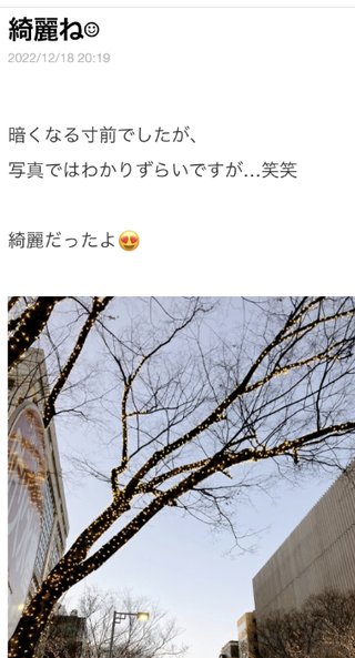 双子のあんりんちゃん