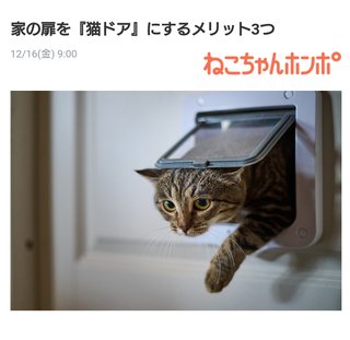 家のドアにペットドア付けてる？