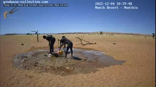 砂漠に設置された人工水飲み場を見守るライブカメラ配信が癒されると話題