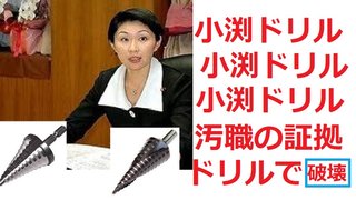 自民党が小渕ドリルに幹事長の交代を検討