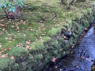 &#x{11:F8E2};なんでもいｰから&#x{11:F8E2};