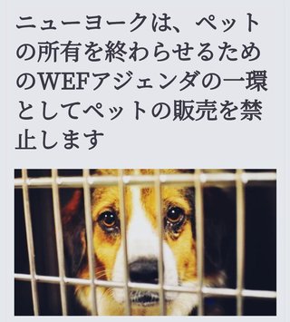 狂った毒ワクチン爬虫類が今回はペット所有と販売を禁止 ww 