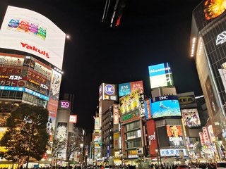 これが勝ち組の大晦日だよ