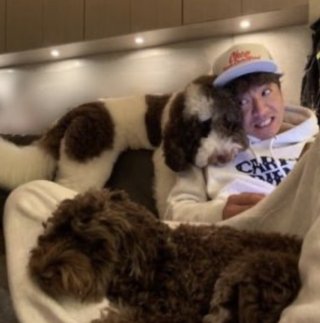 室内犬って綺麗好きの人は飼えないよね？