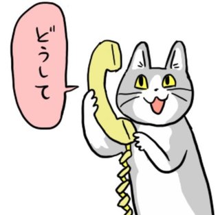 ももち　ぬぉー