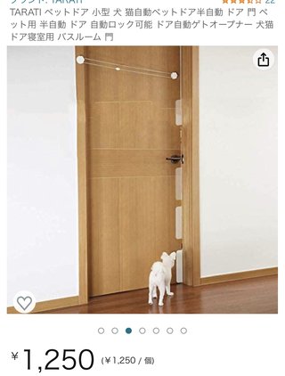 猫について何でもどうぞ【ねこ総合】