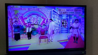 ヒルナンデス!総合