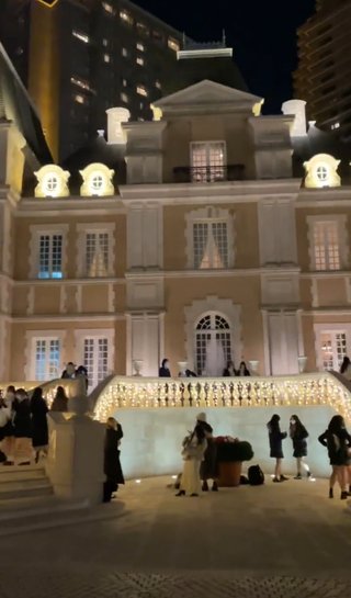 【アプリ】どうぶつの森 ポケットキャンプ