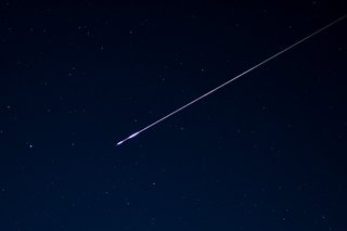 しょんないねぇ