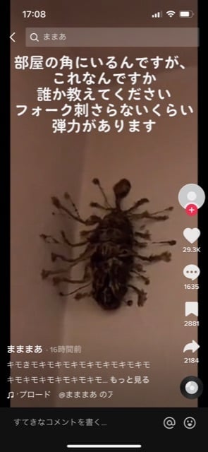 これ何だと思う？