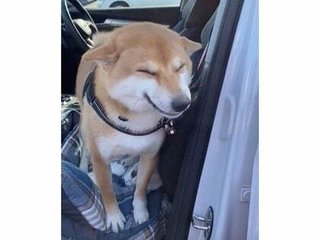 大寒波、大したことないね