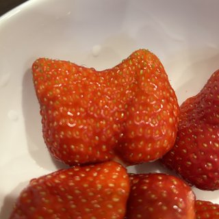 しょんないねぇ