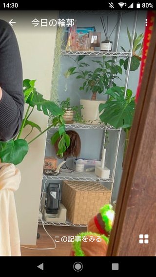 ももち　ぬぉー