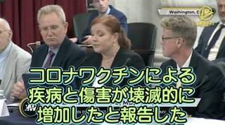 李氏( レビ氏ユダヤ人)、華僑たちが毒ワクチンをあおって日本人大虐殺企画