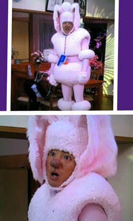 シェパード犬くらいの大きさのプードルを見た