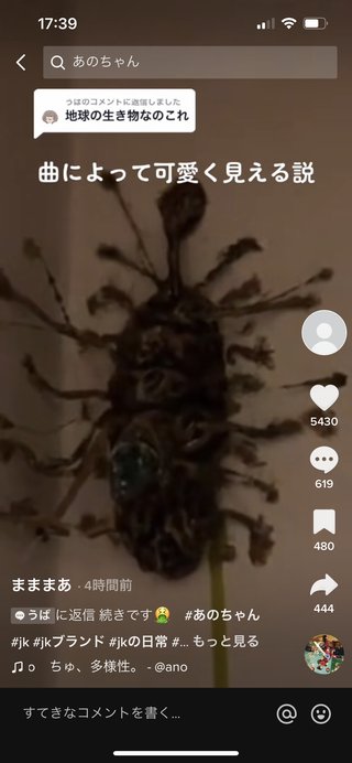 これ何だと思う？