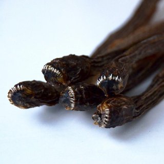 探偵ナイトスクープ