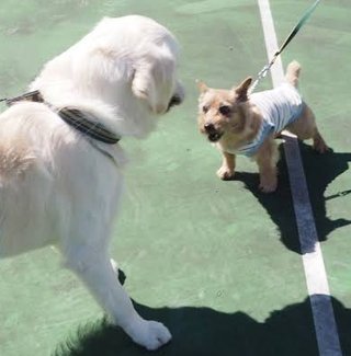 【沼津】飲酒した14歳中学生が26歳の自衛官を駅で殴り逮捕