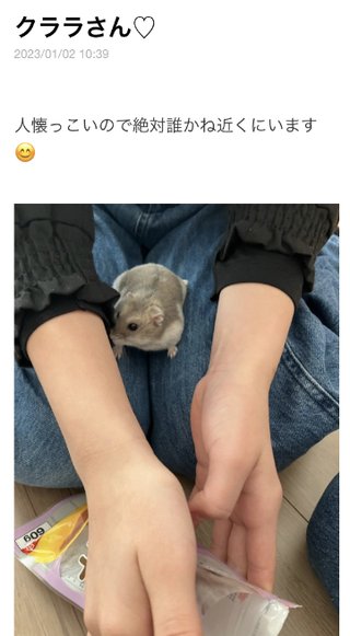 双子のあんりんちゃん