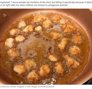 ペットの雄鶏に娘の顔を突かれた母、チキンナゲットにして食べて大炎上（米）