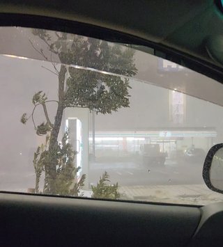 大寒波、大したことないね