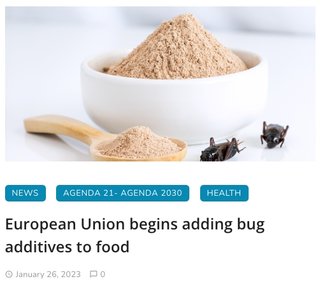 毒ワクチン爬虫類が虫の食品添加物の使用。コオロギの粉末をビスケット、ピザ、パスタ系製品へ ww 