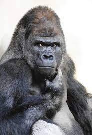 ミルメークをたくさん持ってたら先生に殴られた