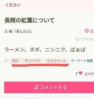 長岡の紅葉について