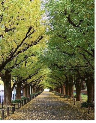 中国軍のコロナ詐欺、黒い舌www爆笑 